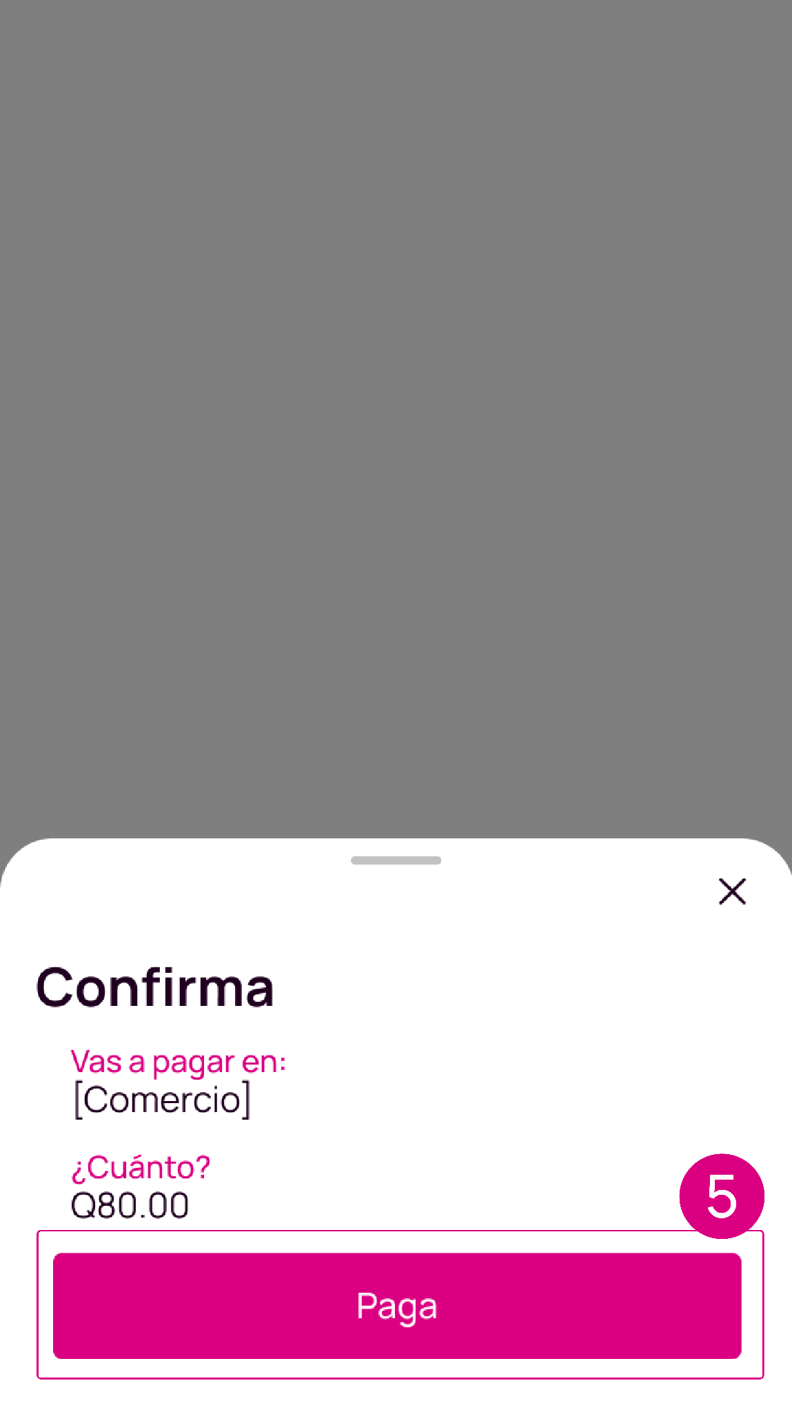 Confirma loa datos de pago en la app Nequi