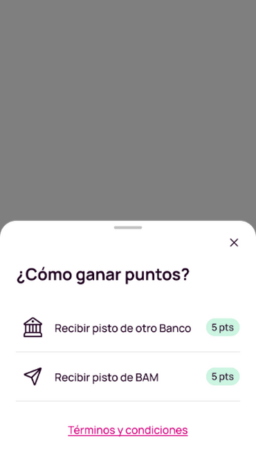Paso 4.png